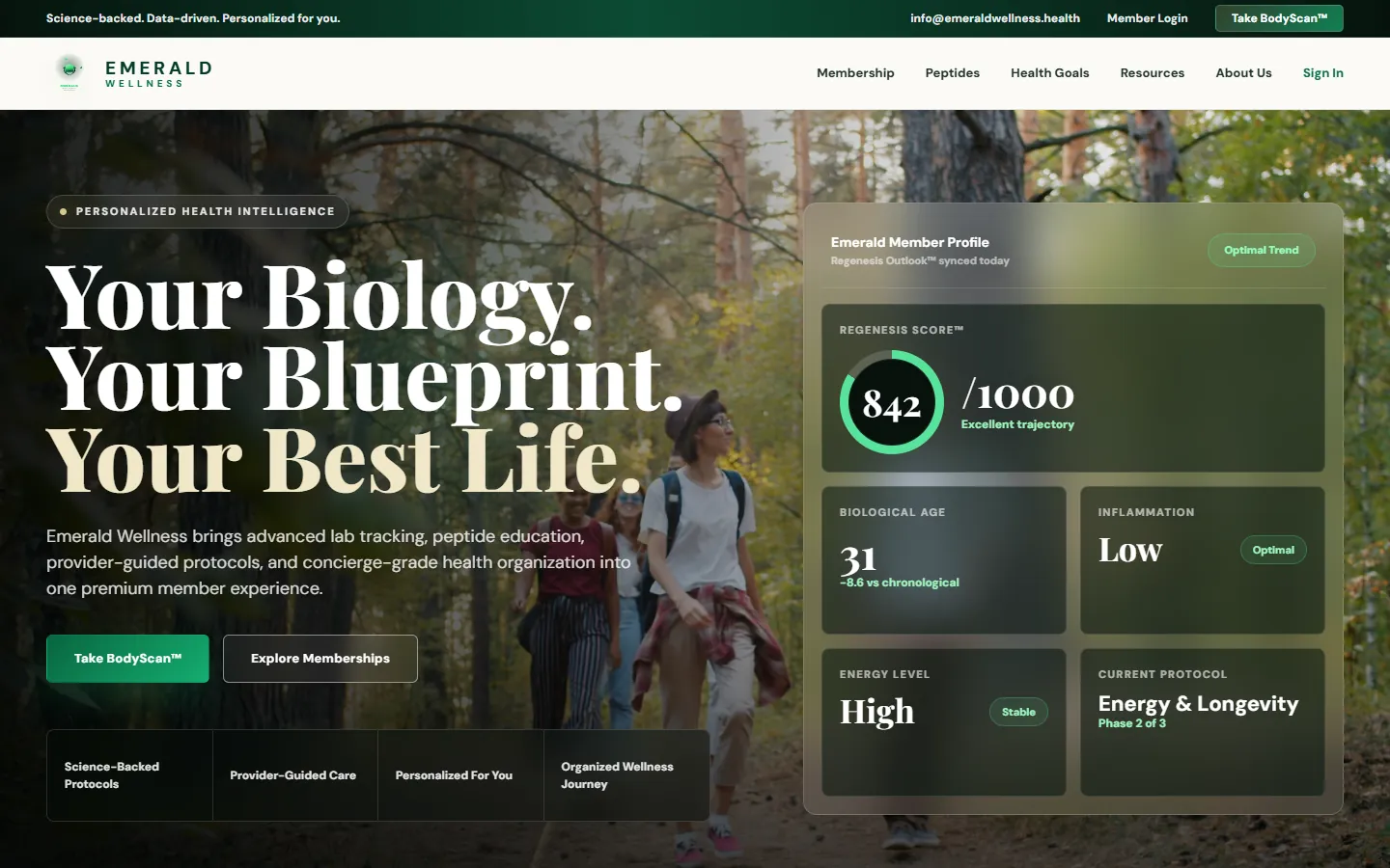 Emerald Wellness home page